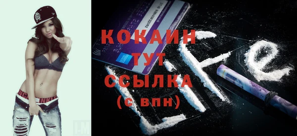 прущие грибы Балабаново