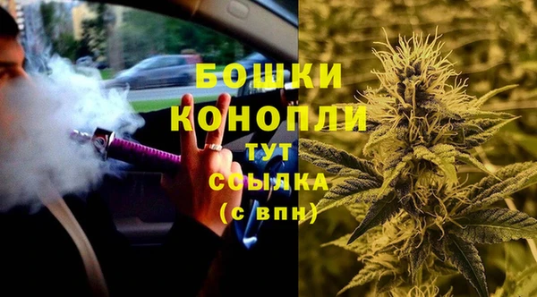 прущие грибы Балабаново