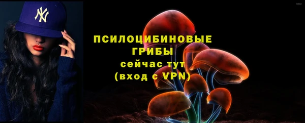 тгк Баксан
