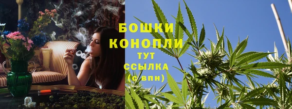 прущие грибы Балабаново