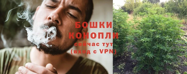 прущие грибы Балабаново