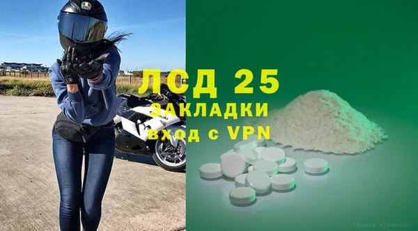 прущие грибы Балабаново