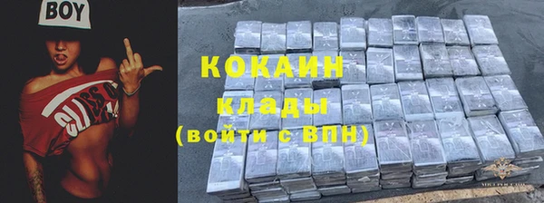 прущие грибы Беломорск