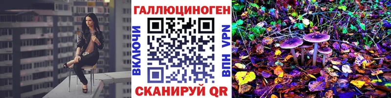 Галлюциногенные грибы Psilocybe Демидов